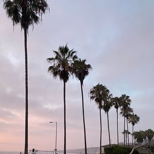 Meet your Posher, Dani